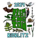 BioBlitz 2024